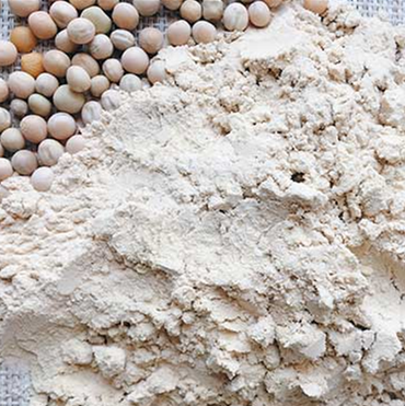 Pea Protein